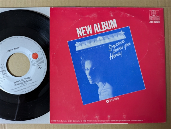 June Lodge (J. C. Lodge) – More Than I Can Say – s17867 – シエスタ