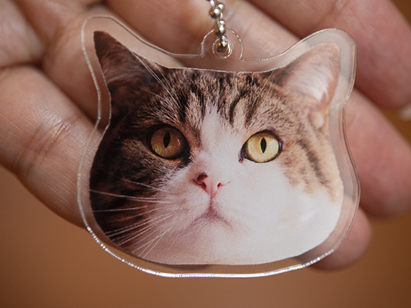 まるです14。-I am Maru 14.-（動画） | 私信 まるです。