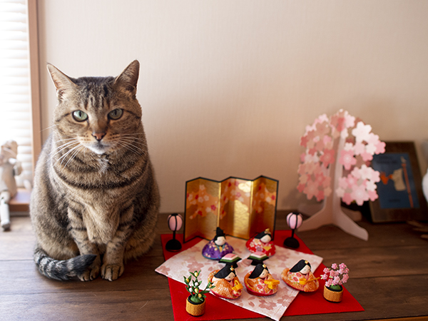 ひな祭り！Doll's festival! | 私信 まるです。