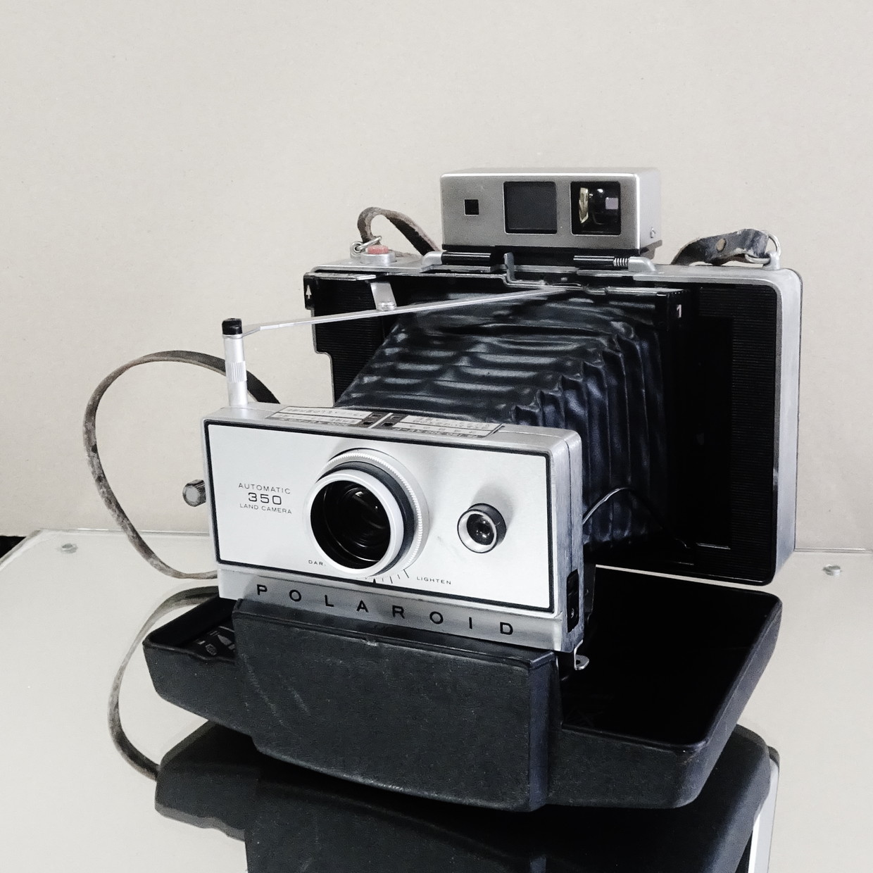 tography / POLAROID / FUJI FP-100C 懐かしきポラロイド/SITEBAY/Art/Pho