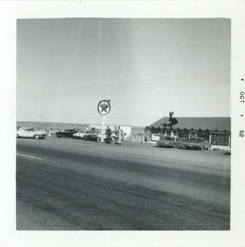 ART_RuschaE_2013_39_1_001_rect