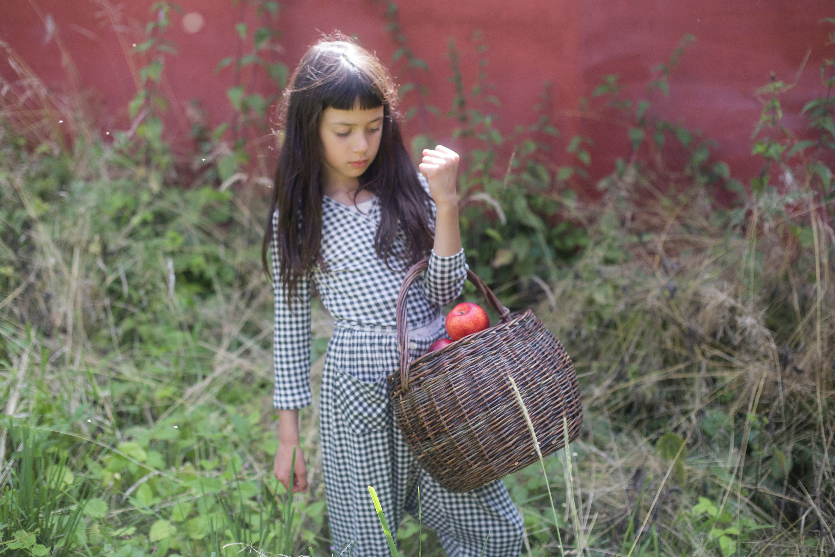 Harem – Soor Ploom