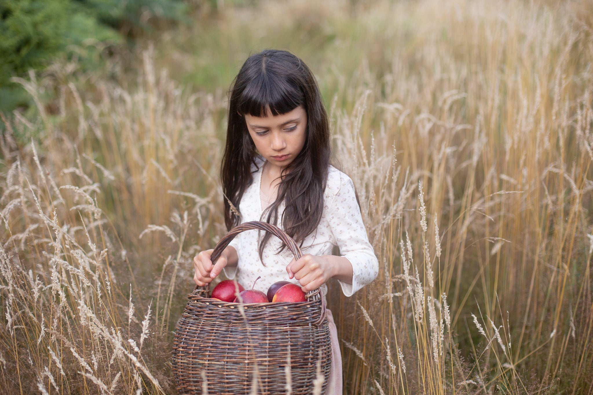 Wrap Tee – Soor Ploom