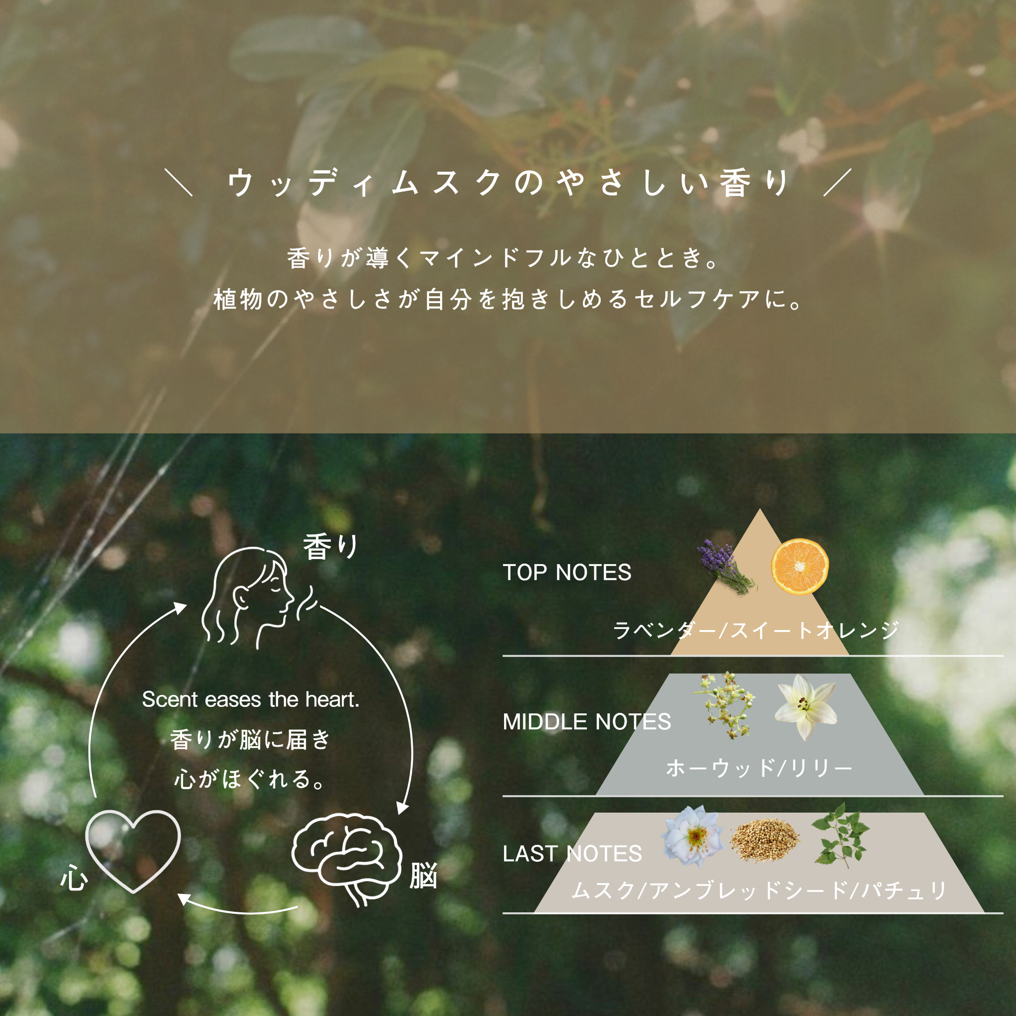 LIVING-OIL UV CREAM 日焼け止めクリーム〈SPF50+・PA++ 30g〉