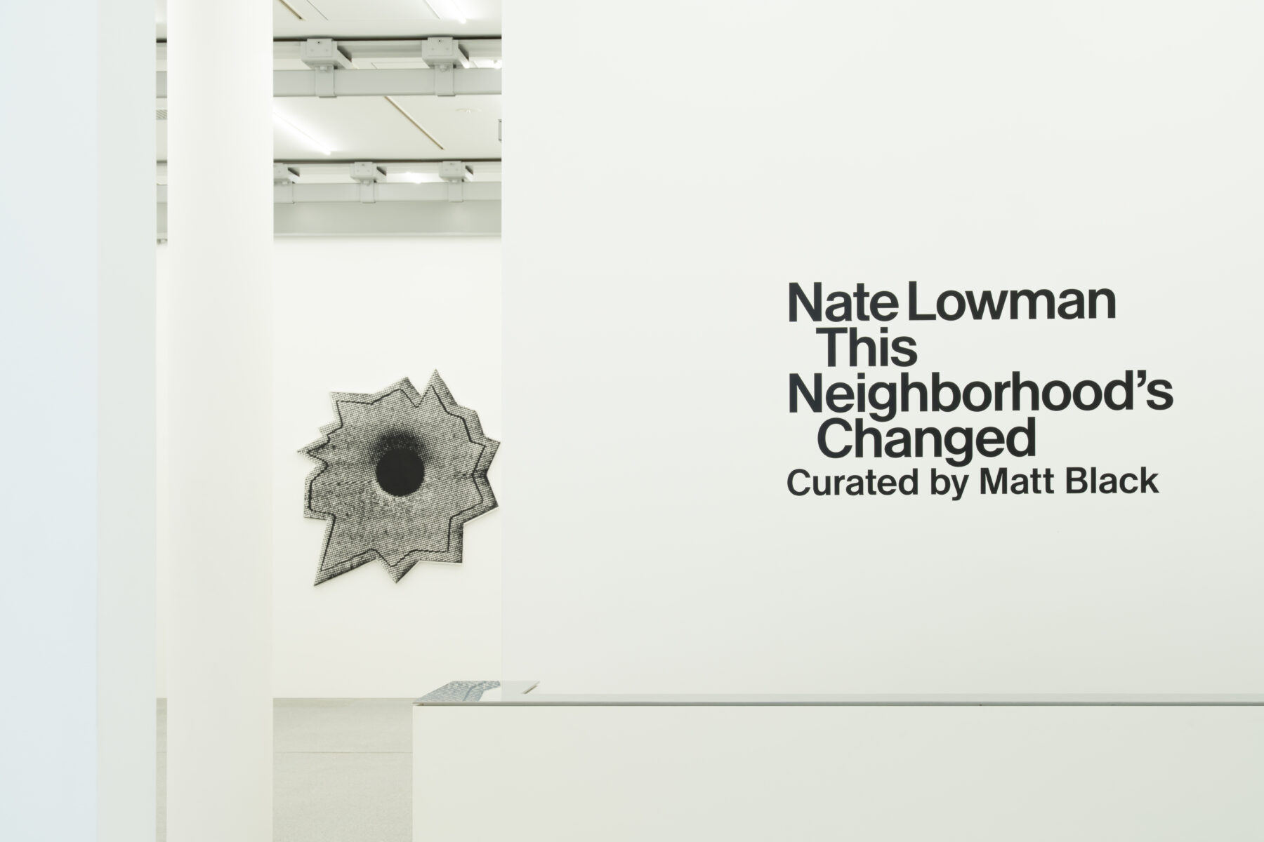 Supremeとのコラボレーションでも話題！ネイト・ロウマンの日本初個展