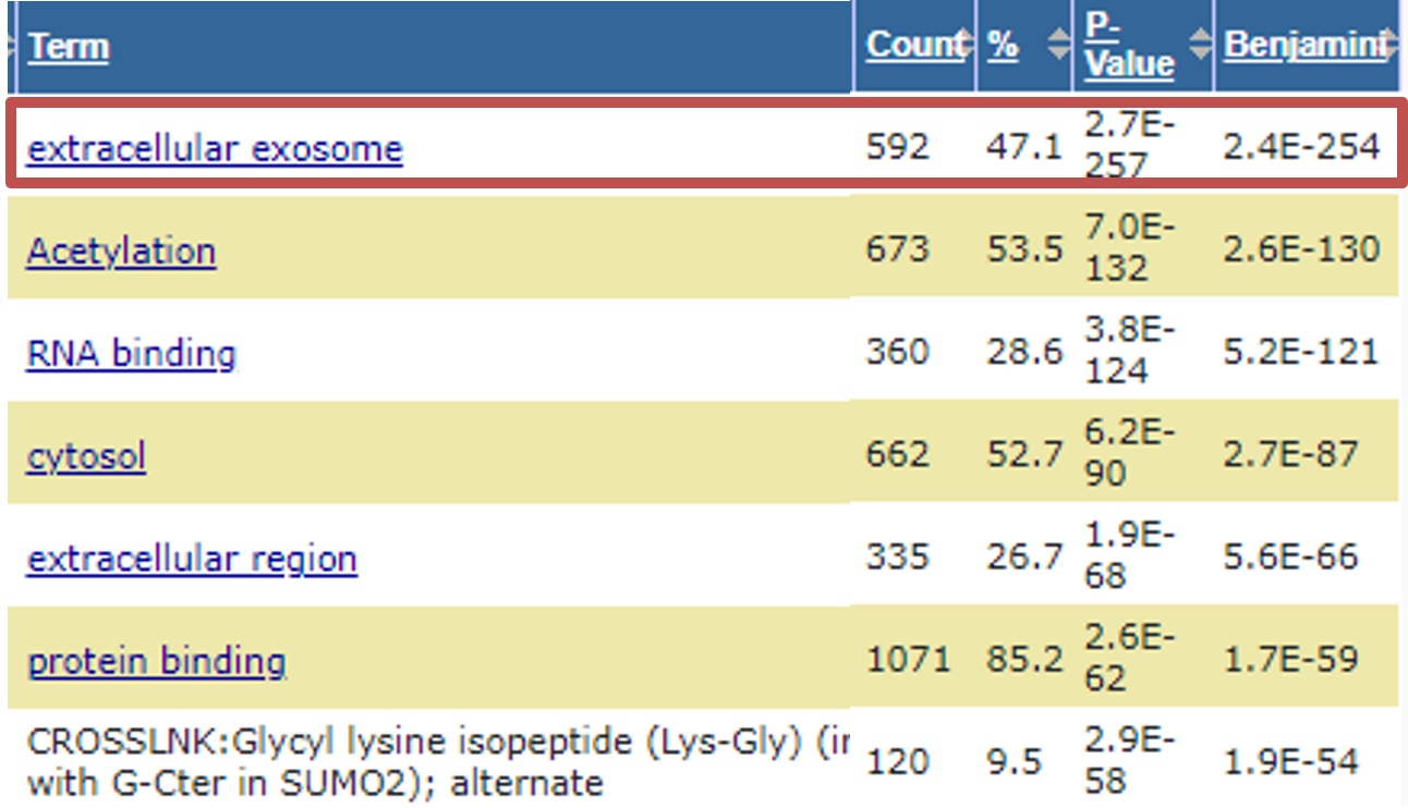 エクソソームを含む細胞外小胞(EV)精製キット