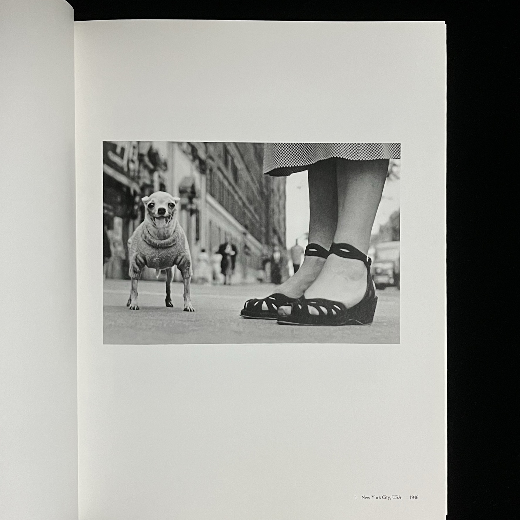 エリオット・アーウィットさんの写真集『Elliott Erwitt』 – Soleil et