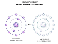 What are free radicals, anyway? – Solésence