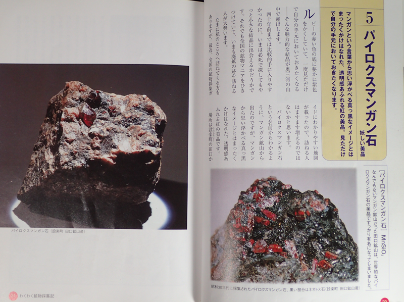 パイロクスマンガン石を求めて～田口鉱山の採集記 | 創造の館