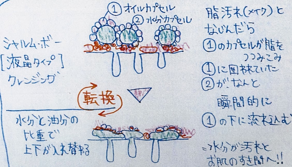 徹底解説】シャルムボークレンジング 洗顔の成分と使い方をご紹介