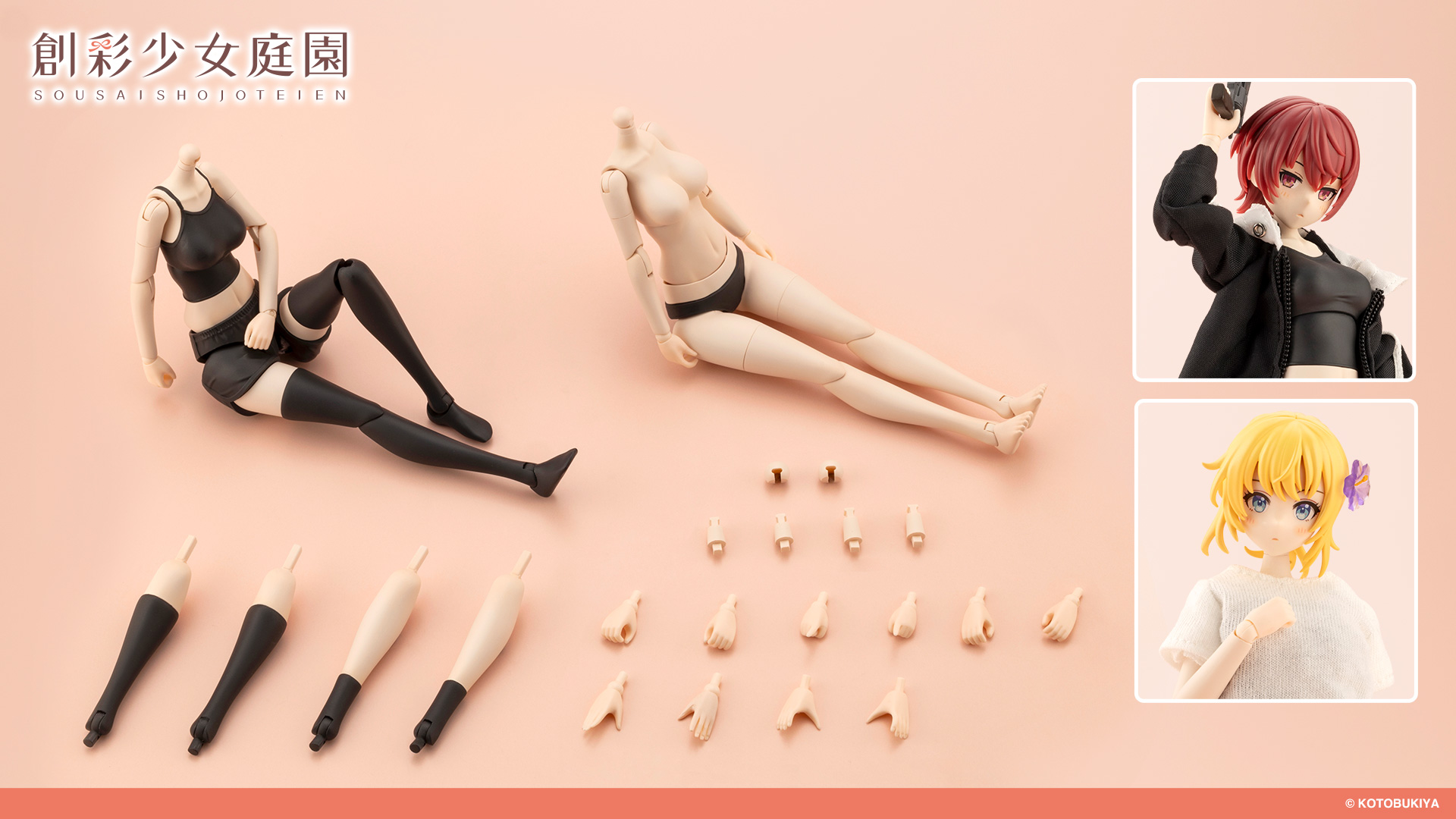 ドレスアップボディ【M】カラーC Ver. | 創彩少女庭園オフィシャルサイト