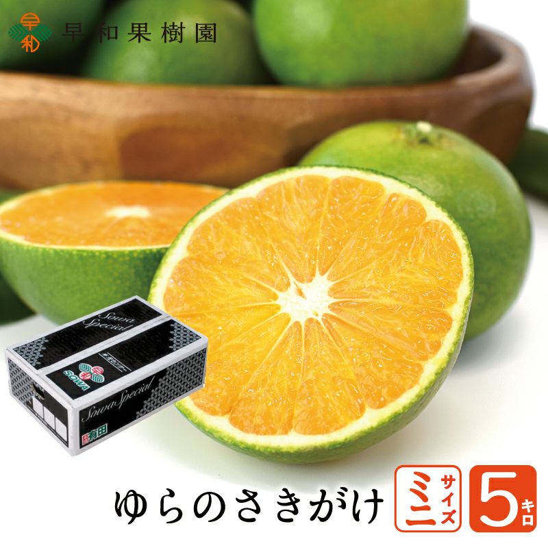 9月が旬の新品種ゆらのさきがけ（YN26）ミニ5kg｜早和果樹園