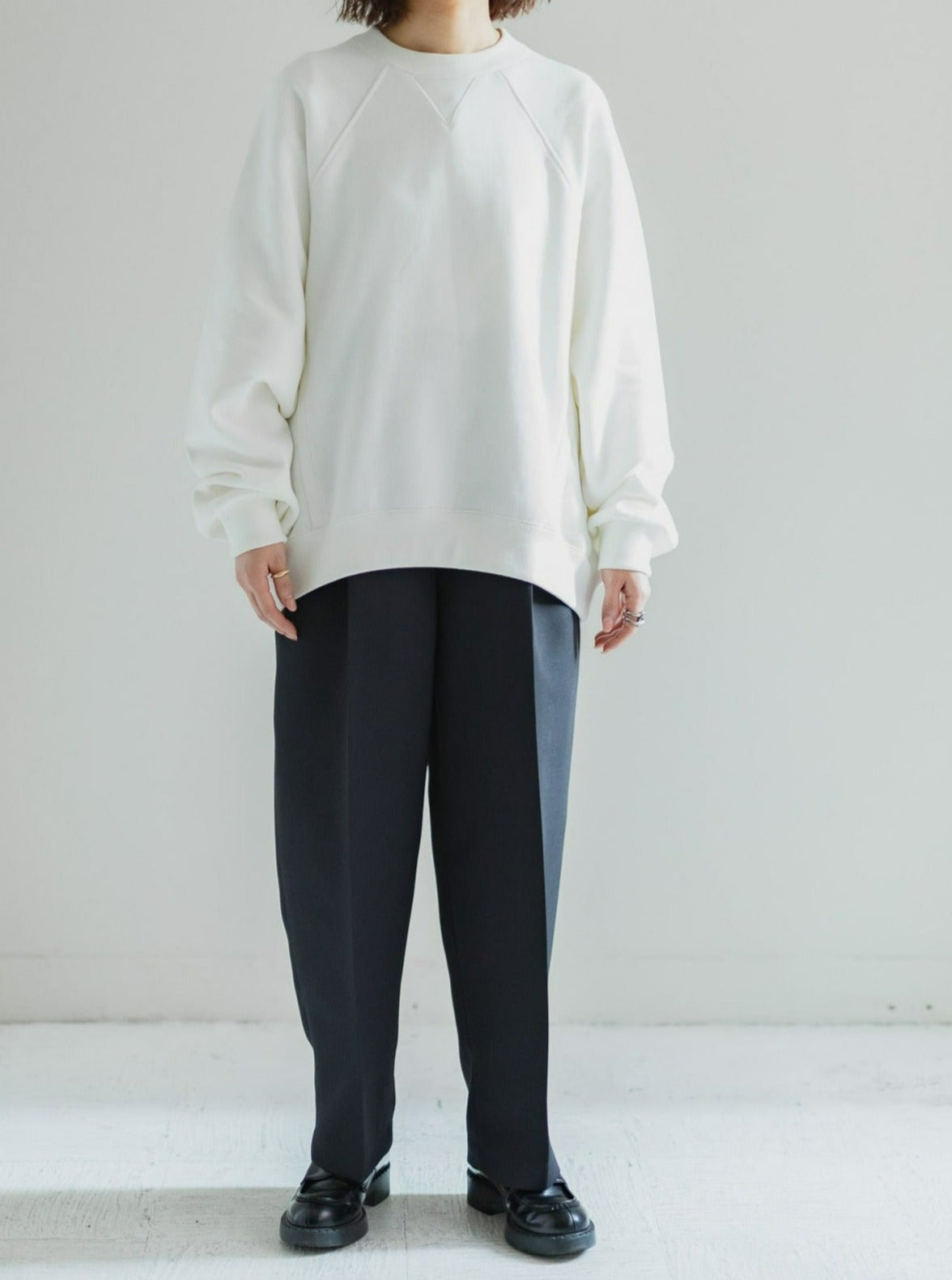 SWITCHING TRAINER – soyy.online