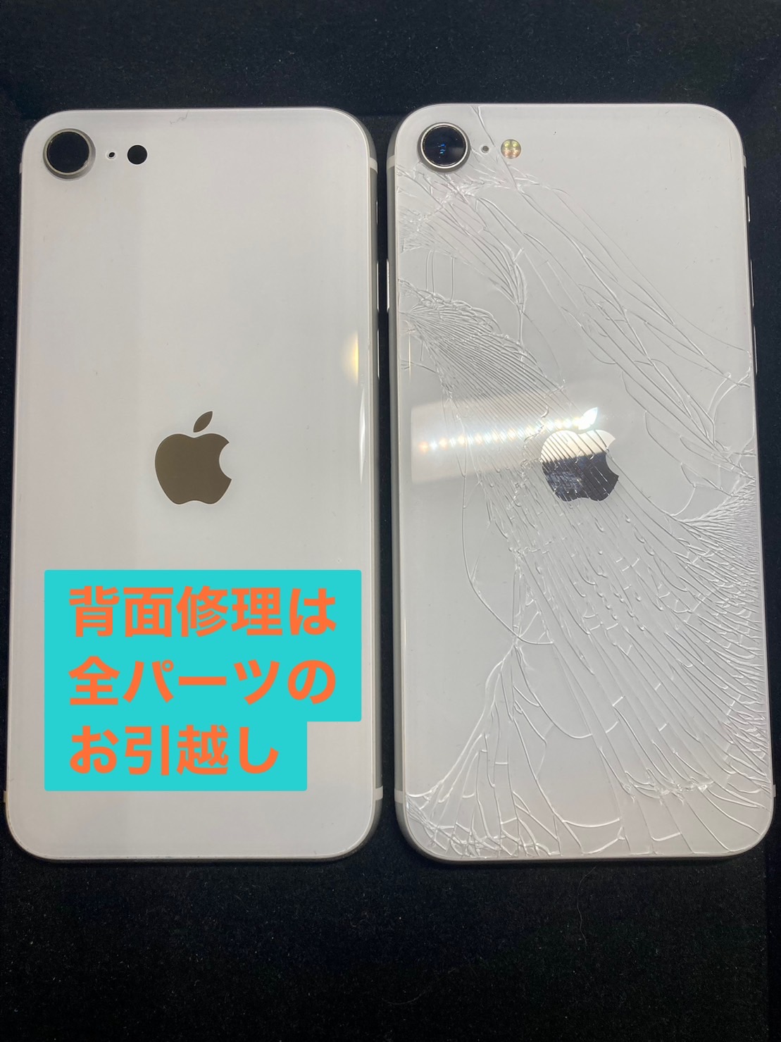 iPhoneSE2 背面修理【iPhone修理所沢】 | iPhone・iPad・スマホ修理