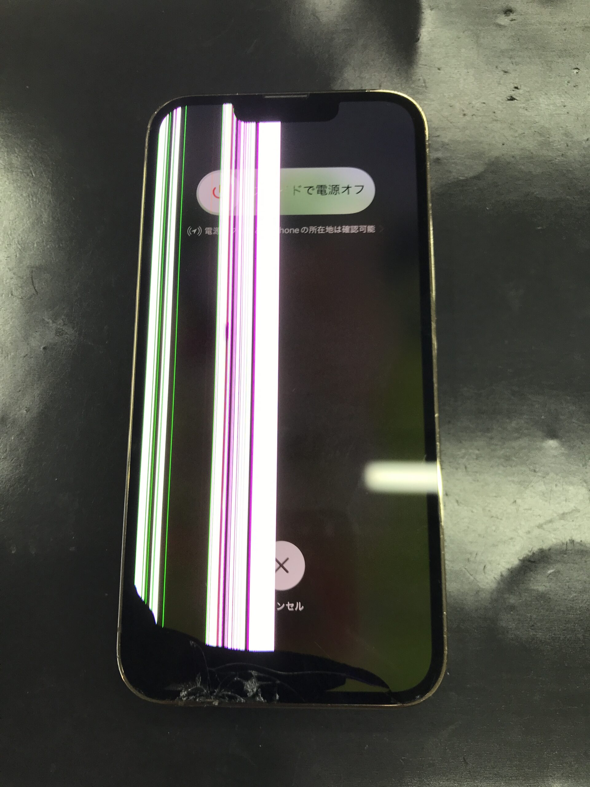 iPhone13Pro】落としてしまって画面割れに加えて液晶画面まで…即日修理