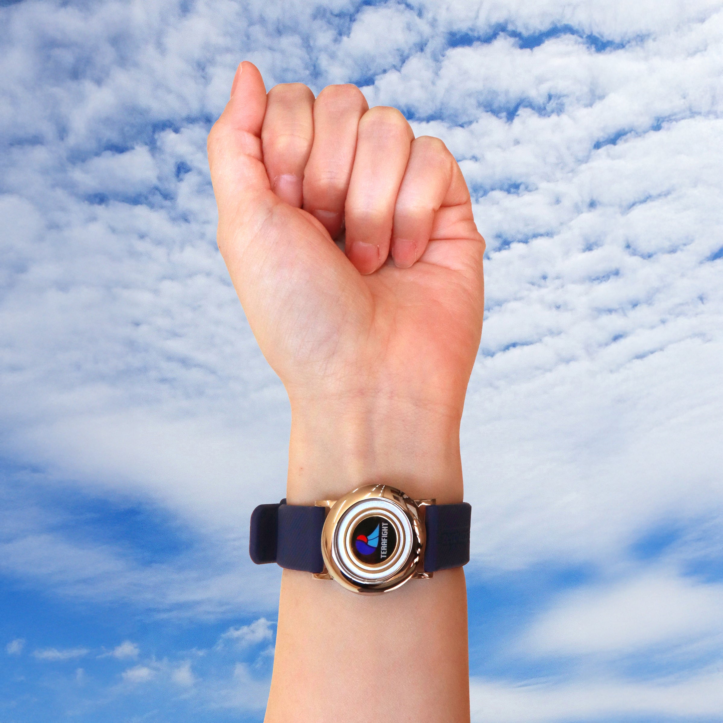 ゼロリストゴールド【製造元】（ゼロ磁場発生装置） – T.T.C公式ショップ