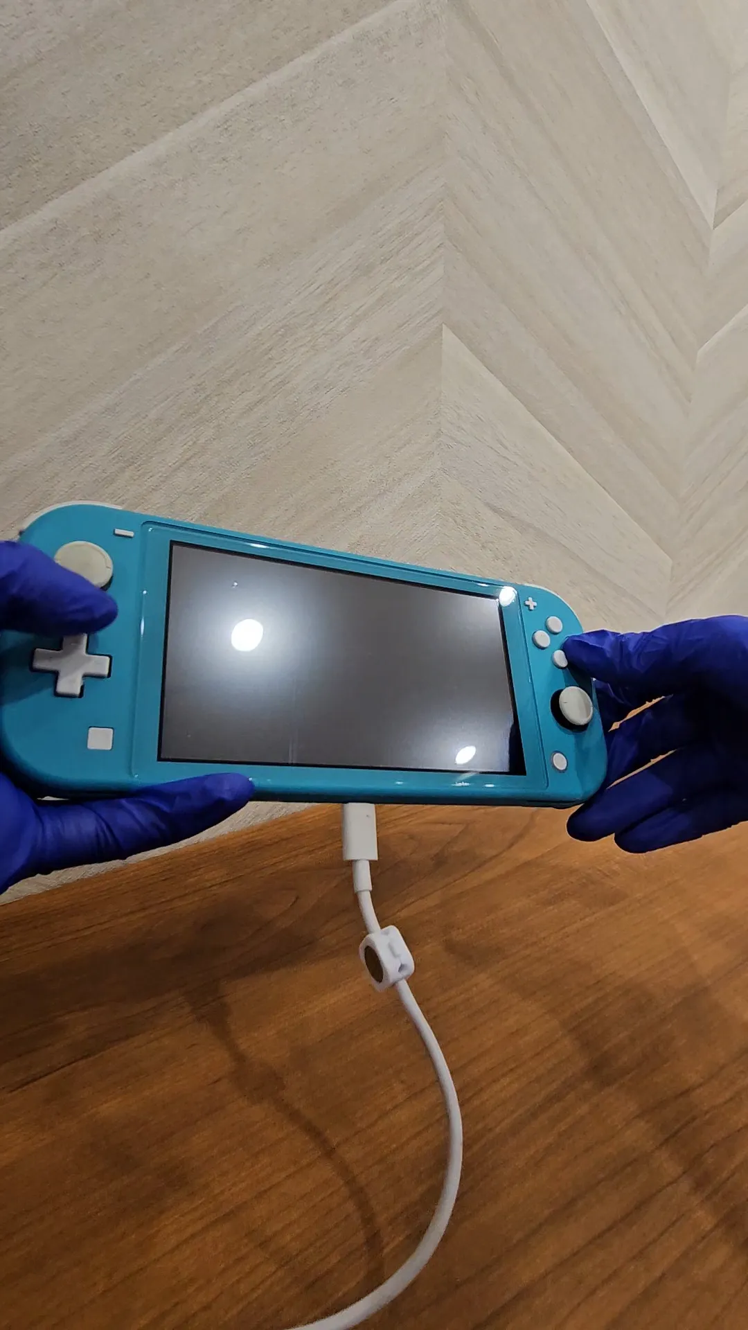 Switch Liteが起動しない？札幌駅アピア店でデータそのまま即日修理