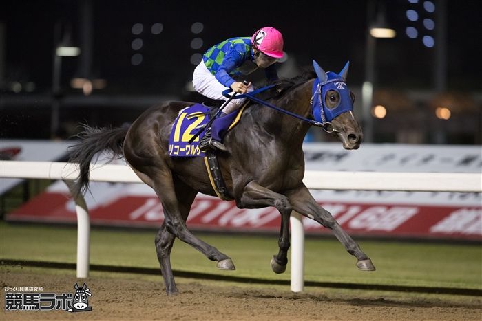 鎌倉記念】森泰斗＆リコーワルサーが力強く抜け出して重賞初制覇