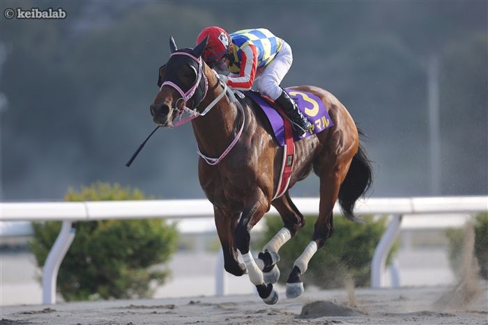 黒船賞】59kgもなんのその！シャマルが逃げ切り黒船賞3連覇達成