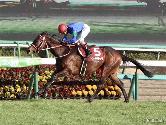 中山記念】サイレンススズカの再来か！パンサラッサが圧巻の逃走劇