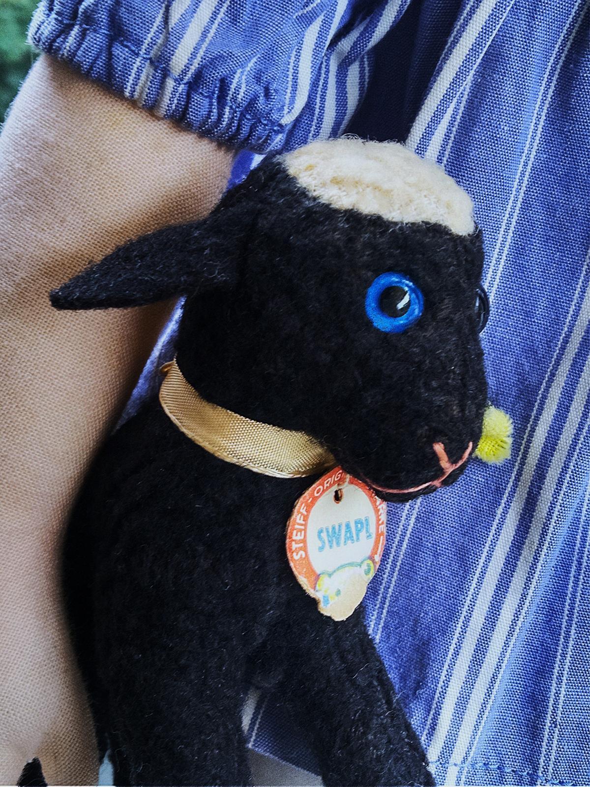 きっとあの子のお友達 1．青い瞳の黒羊 シュタイフ SWAPL ALL ID's - SNAP