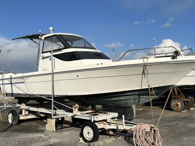 1631_202501081411235_677e0943d