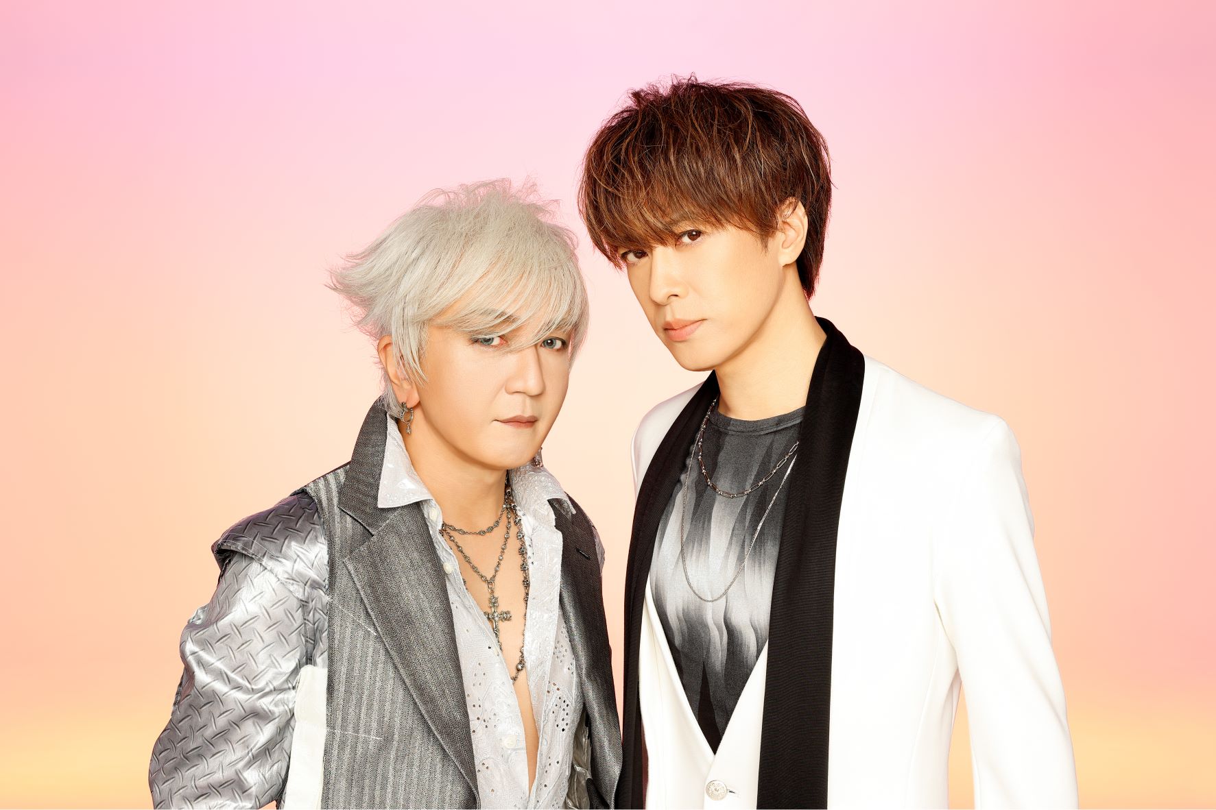 access 15TH ANNIVERSARY DVD BOX | access | ソニーミュージック