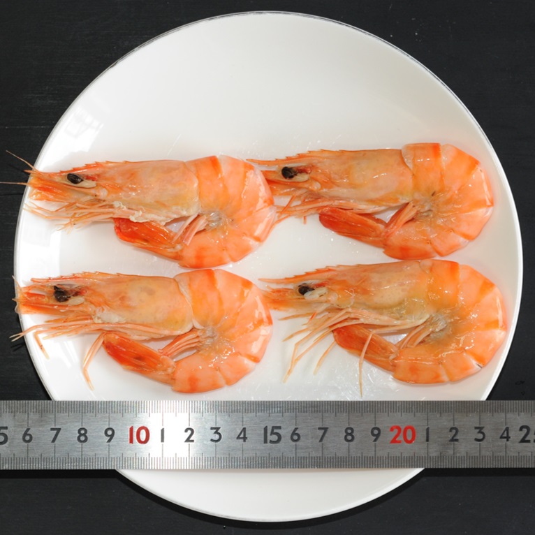 セレクトフーズ通販本店 / 焼き海老 焼海老BT50（ブラックタイガーえび