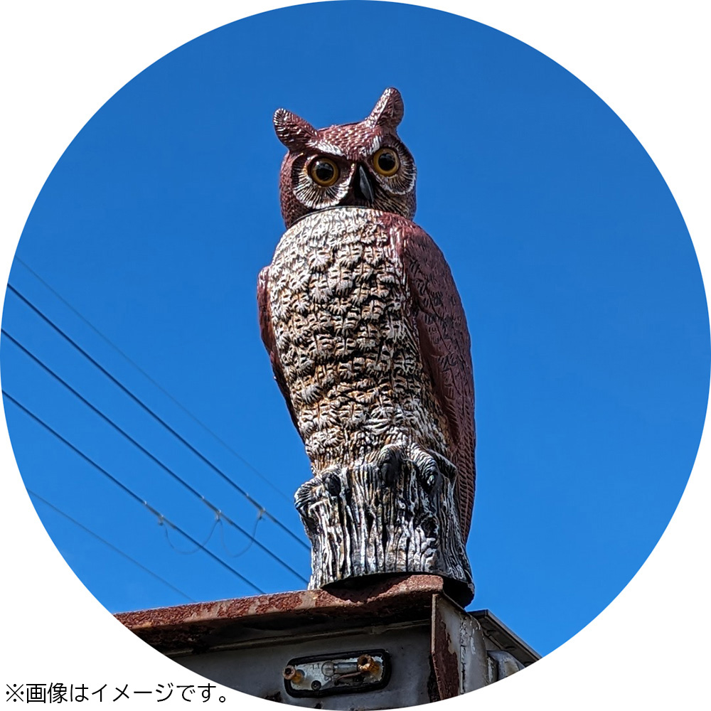 愛農 首振りフクロウ F-46R | 福農産業株式会社