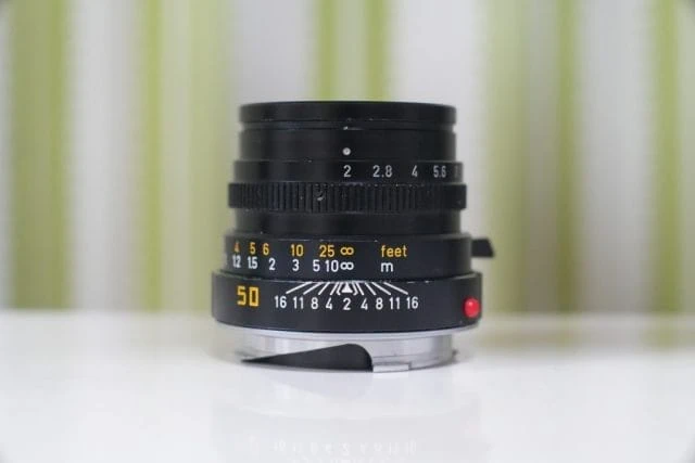 Summicron-M 50mm f2 3rd Review作例ブログ Leica銘玉オールドレンズ