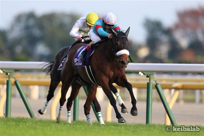 ルヴァンスレーヴ - Le Vent Se Leve - 競走馬データベース | 競馬ラボ