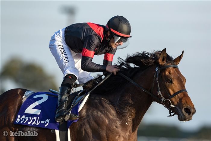 ルヴァンスレーヴ - Le Vent Se Leve - 競走馬データベース | 競馬ラボ