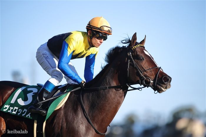 シェイクユアハート - Shake Your Heart - 競走馬データベース | 競馬ラボ