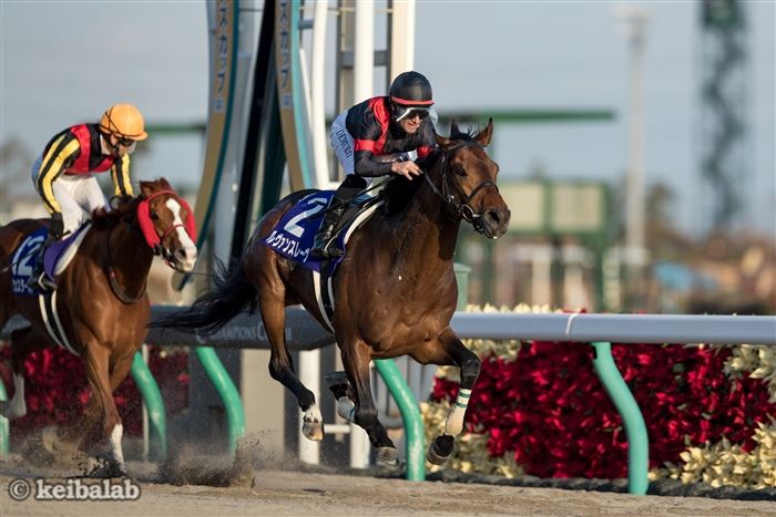 ルヴァンスレーヴ - Le Vent Se Leve - 競走馬データベース | 競馬ラボ