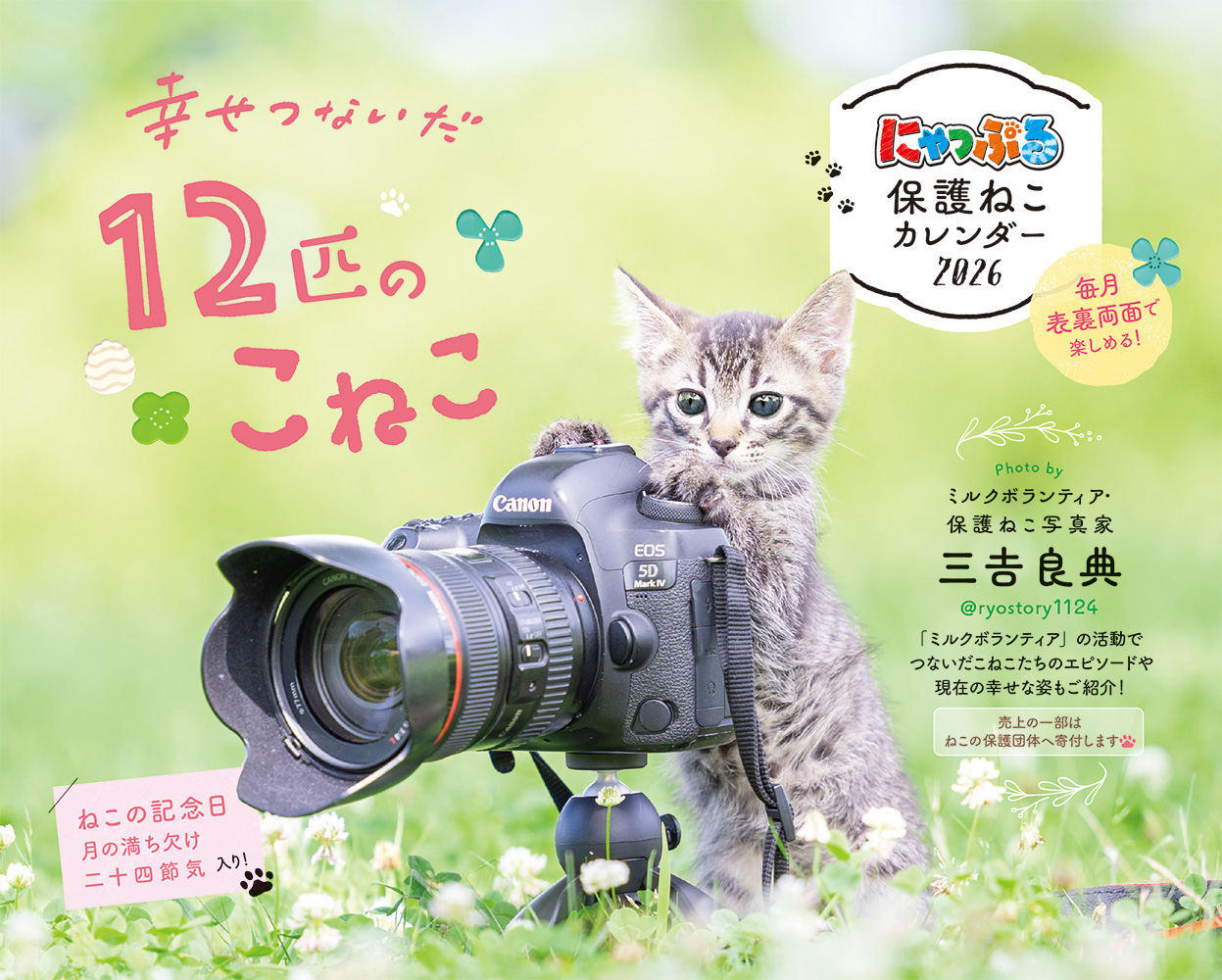 にゃっぷる 保護ねこカレンダー2026 卓上版「幸せつないだ12匹のこねこ