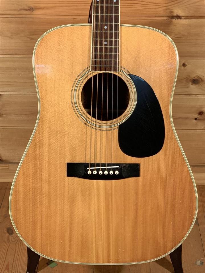 Morris W-20 '74 1974年 中古 780892 Morris(モーリス)【楽器検索｜J