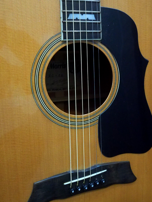 Morris MG-50 1978年頃 ビンテージ 1240623 Morris(モーリス)【楽器