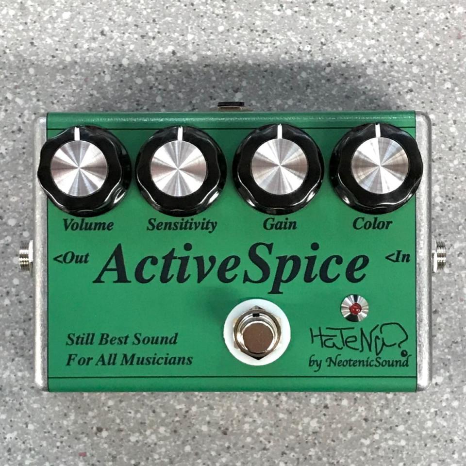 HaTeNa Active Spice 新品 1109956 HaTeNa(ハテナ)【楽器検索｜Jギター】
