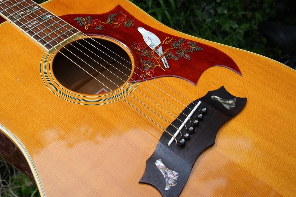 Burny BD-85 1977年 ビンテージ 139229 Burny(バーニー)【楽器検索｜J