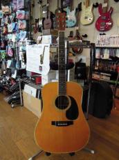 Cat's Eyes(キャッツアイ)、アコースティックギター/エレアコの検索