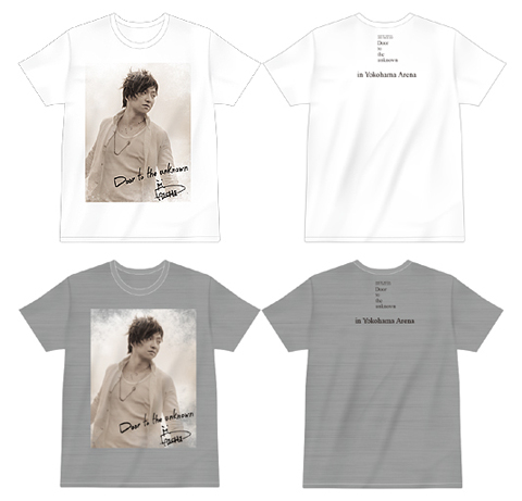 三浦大知:「DAICHI MIURA LIVE TOUR 2013-Door to the unknown