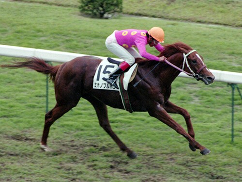 ウマ娘ではサイボーグ。ミホノブルボンは日本ダービーで圧倒的な強さを