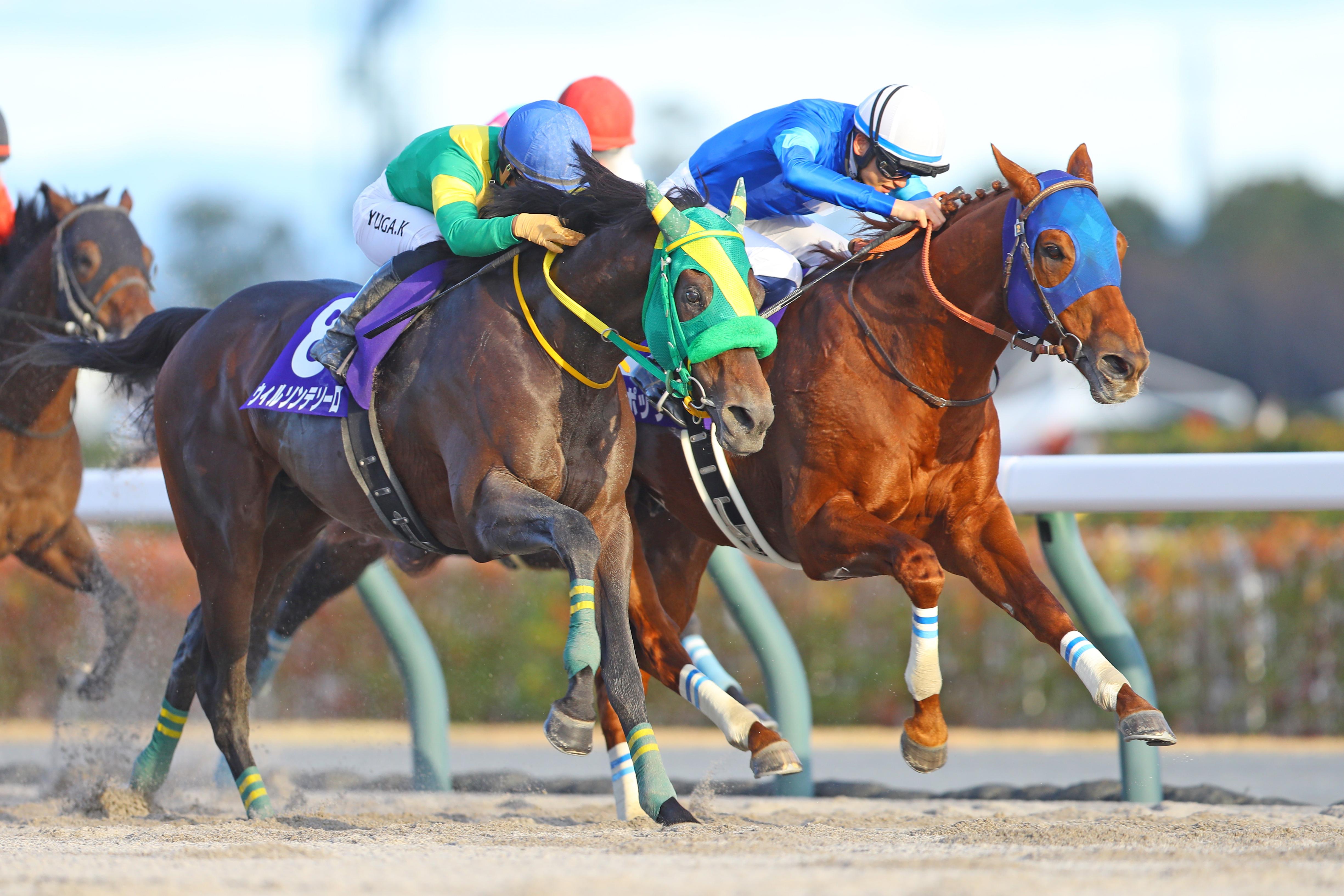 チャンピオンズカップ】レモンポップ「衰え」克服し国内GI無敗で引退