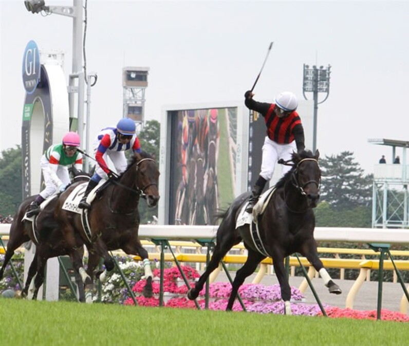 エイシンフラッシュ】第77回日本ダービー(現地的中馬券) エイシン