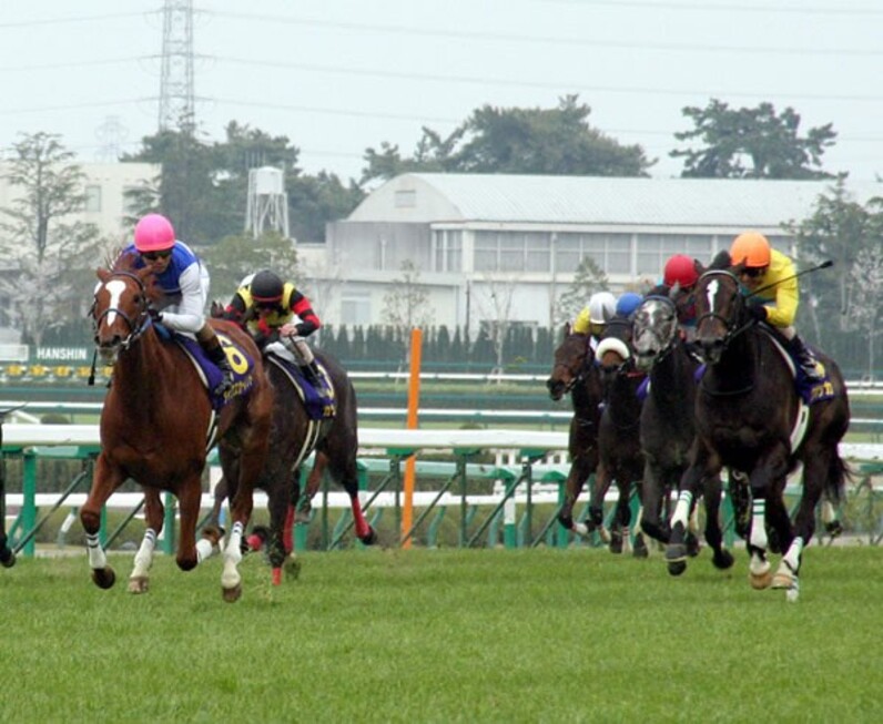 ウオッカ vs.ダイワスカーレット――府中2000m頂上決戦！=天皇賞・秋