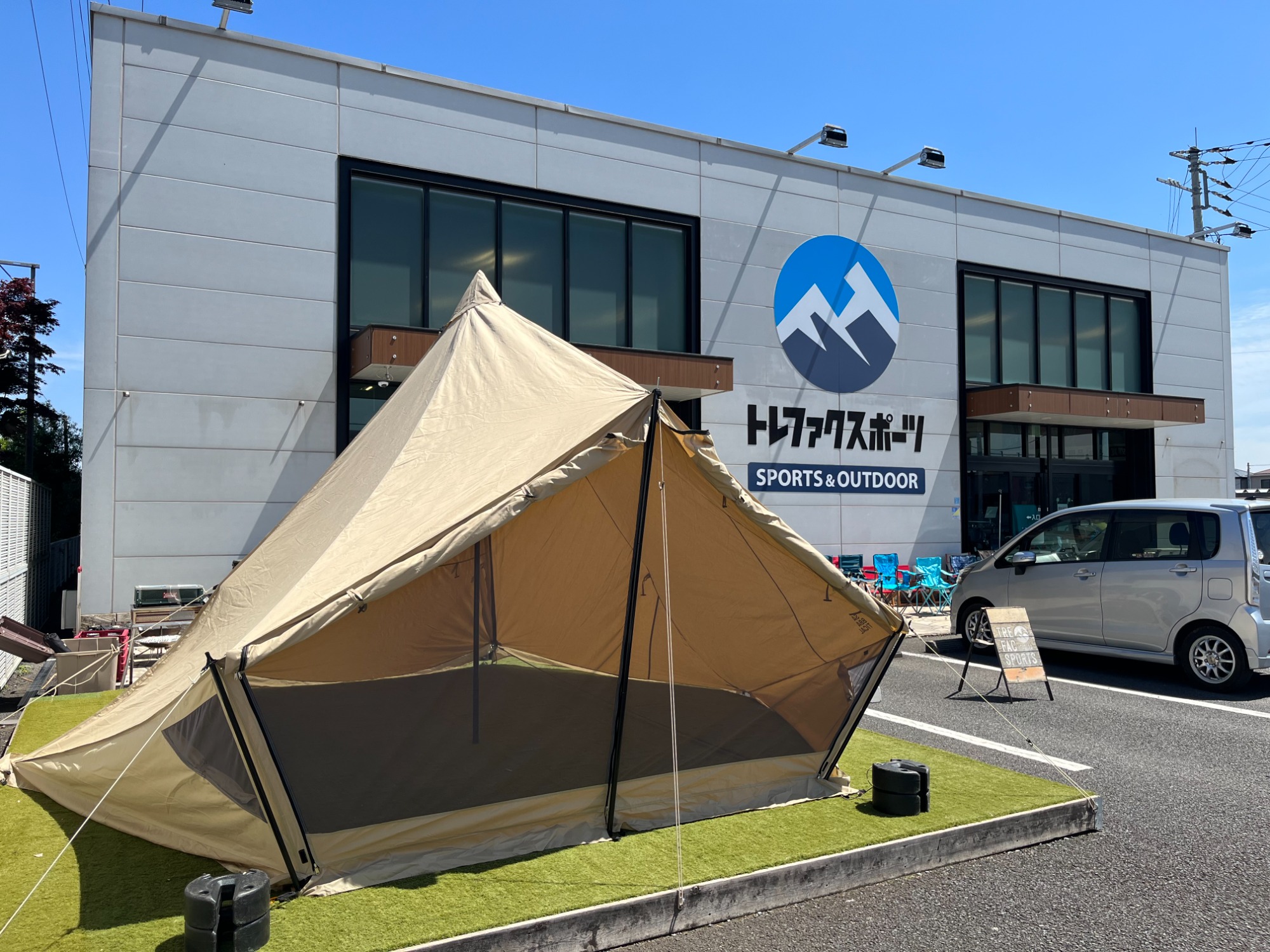 他に類を見ない形状！サバティカルのモーニンググローリーTC！[2023.04