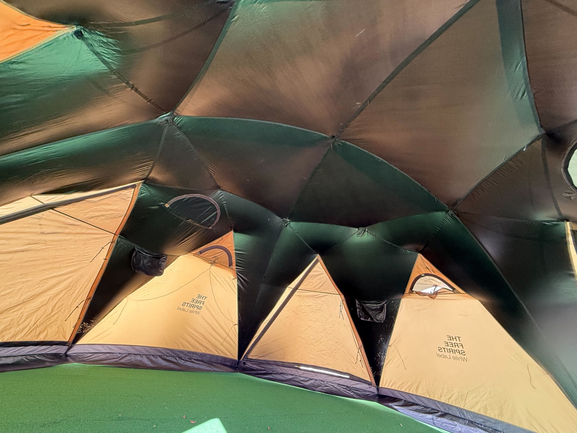 日本限定カラーでたった15張り!?自由之魂のロボテック(Robotech)初入荷