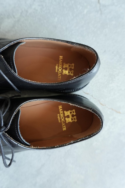 HARROGATE【ハロゲイト】 EDGEWARE | SPEACE 福井