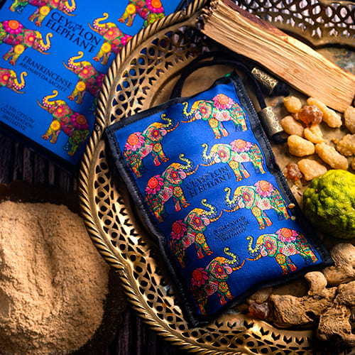 父の日2024 / スパセイロン