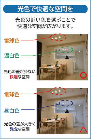 製品詳細 | 大光電機株式会社